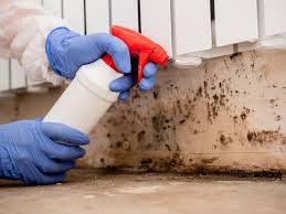 Best Airborne Mold Testing  in Sahuarita, AZ